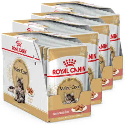 Royal Canin Maine Coon Nassfutter für Katzen, 48 x 85 g