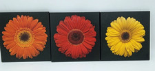 Set of 3 HOME Multicolor Daisy Wall Plaques 8" x 8"
