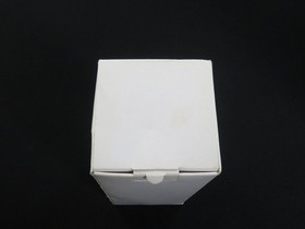 BOXED Shenmue Shenhua Ling Shenhua Figure SEGA Dreamcast Promo from Japan 2