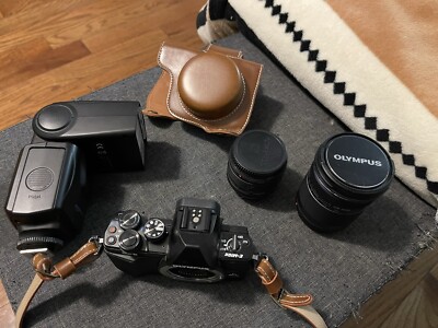 Olympus OM-D E-M10 Mark II 16 MP Mirrorless Digital Camera - Black