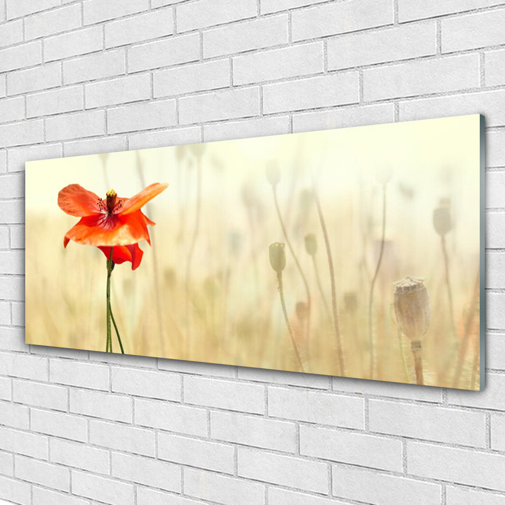 Tableau murale en verre 125x50 cm Pavot Tulup pour salon