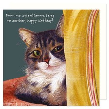 BLH Tabby Cat - Happy Birthday Card