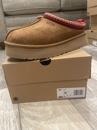 chestnut tazz mule