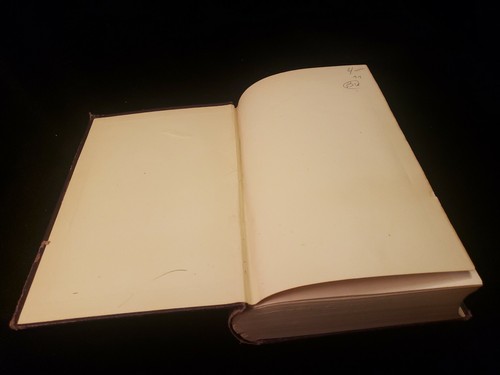 1881 Essays in Biography and Criticism by Peter Bayne 2 volumes in 1 lovell pub - Bild 3 von 12