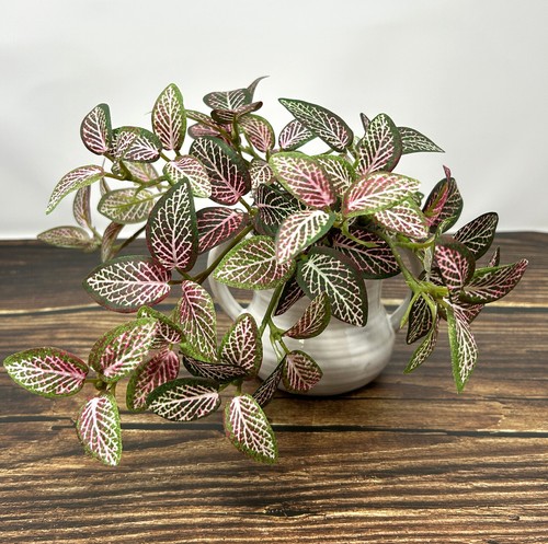7" kleine künstliche PINK FITTONIA NERV Kunstseide Pflanze getopft in weiß 2-Griff - Bild 6 von 10