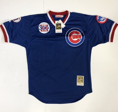 maddux cubs jersey