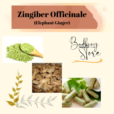 POWDER Elephant Ginger Zingiber Officinale Organic