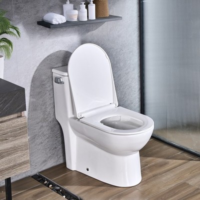 VEVOR One-Piece Toilet Left Flush 1.28 GPF 12  Rough-In White + Silver