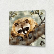 Raccoon Sleeping on Tree Branch Canvas 8x8 Framed Retro Animals Poster