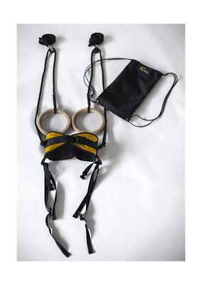 Power Monkey: Ring Thing, Gymnastics Rings, Dream Machine