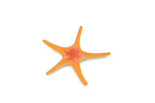 Seestern Spielzeug, Ross Sea Star, Sea Life, realistisches Kunststoffmodell, 2 1/4" F927 B158 - Bild 1 von 5