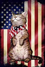 Cat Kitten Kitty American Flag Patriotic Double Sided 12"x18" Garden Flag SGF010