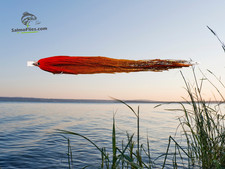 XL Hechtstreamer 23cm Huchenköder 2/0 Einzelhaken SalmoFlies Streamer Nr2