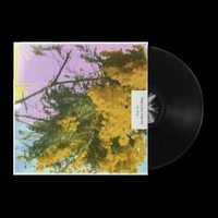 Four Tet - Into Dust Still Falling - Vinyl Record Vl - G3Z