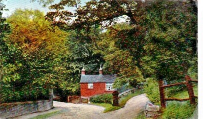 LEEDS - HOUGHLEY GHYLL, BRAMLEY FARBIGE POSTKARTE (1910)
