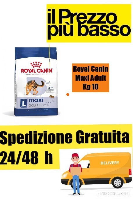 Foto 1 di 1