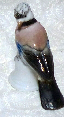 Karl Ens Volkstedt Rare German EURASION JAY Bird Fine Porcelain - Picture 4 of 12