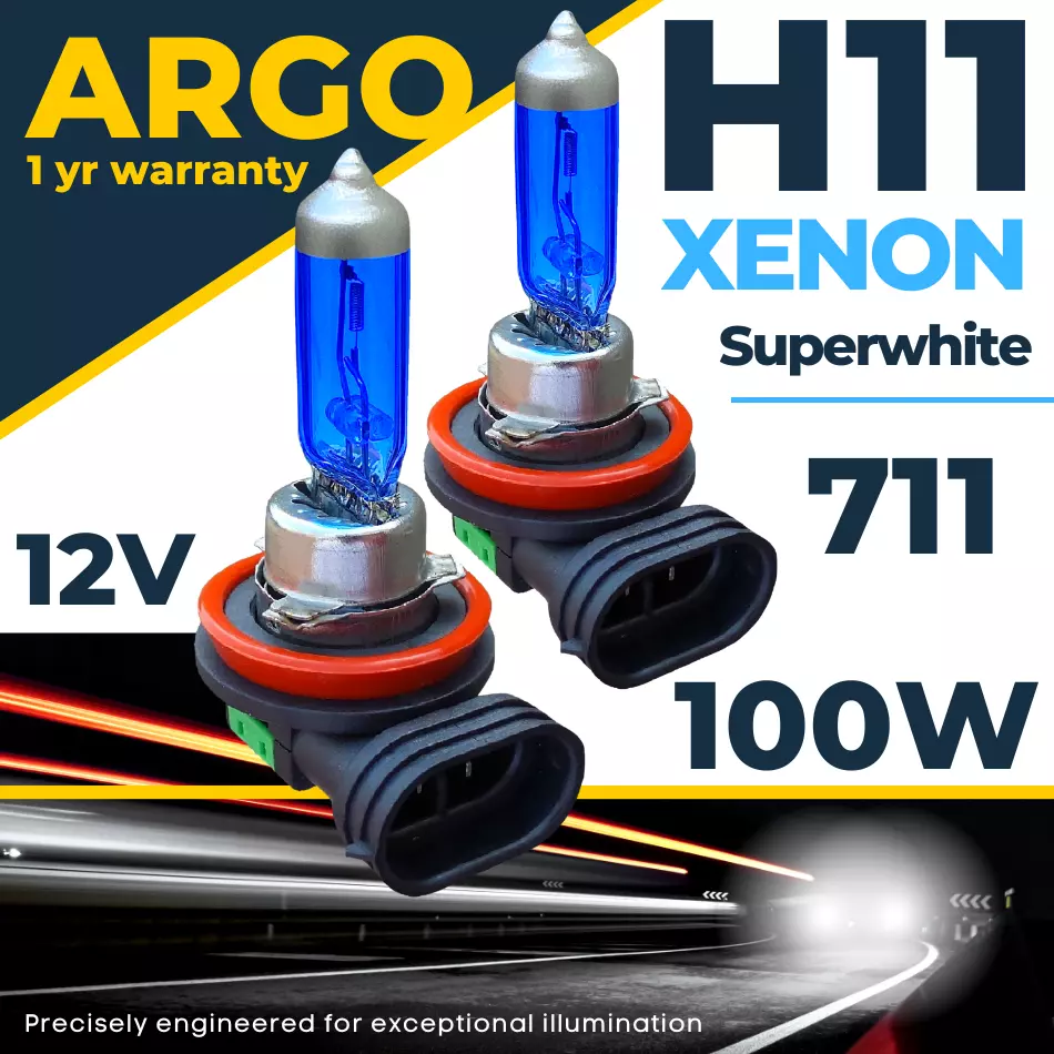 White xenon 2024