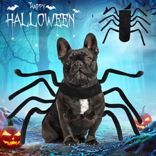 Halloween Decor Pet Dog Spiders Cute Cat Costume Bats Outfits Cosplay Dress up