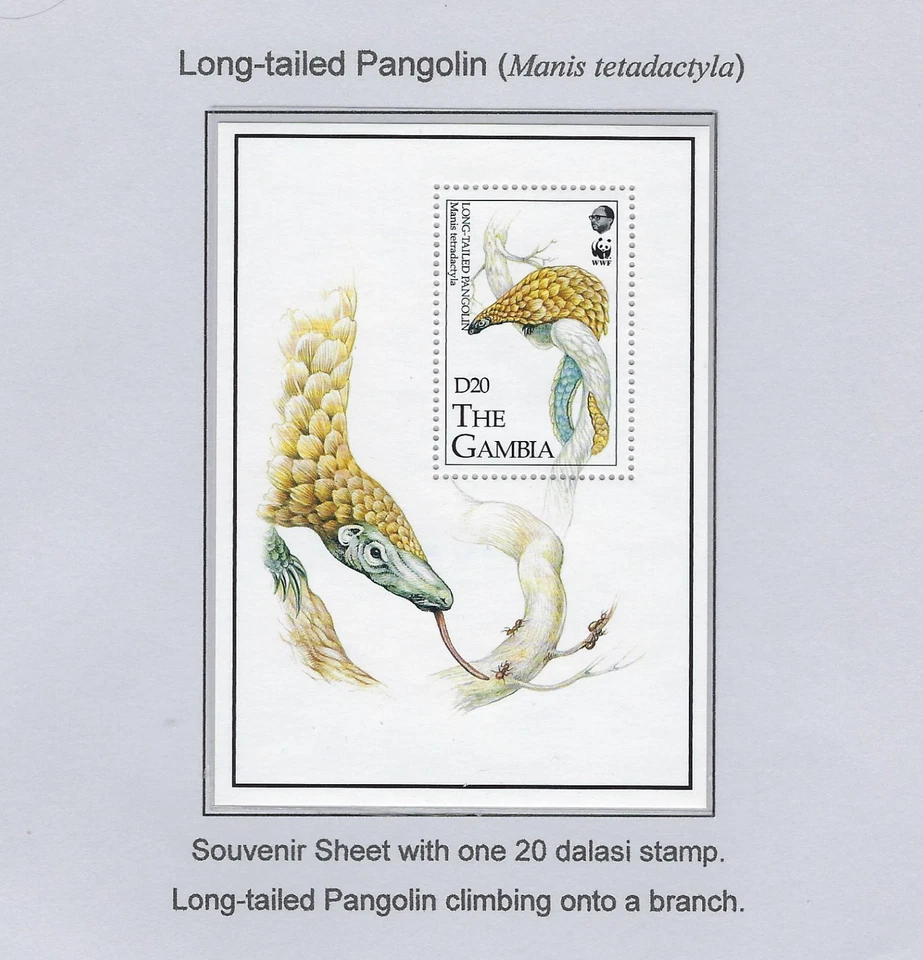 Gambia / 1993 / Pangolin / Set of 4 + Souv S / #1362-1366 / WWF / MNH / 1400-1 - Image 2 of 2