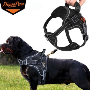 xl dog harness with handle