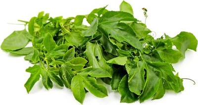 Passion fruit leaves (kola)   Dried Passion Fruit Passiflora edulis Leaves Ceylo