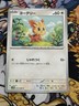 Lillipup C 072/086 SV11W White Flare - Pokemon Card Japanese Scarlet & Violet