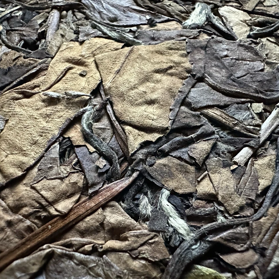 2003 Shoumei White Tea Cake 350g Taimu Mountain Private Reserve 私人订制 老寿眉 Weißtee - Bild 4 von 4