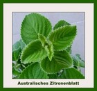 Bild 7 von 24