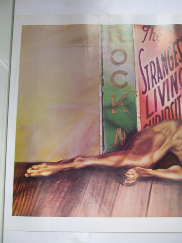Vintage David Bowie - Diamond Dogs Tour Poster PEELLAERT Original w/Slight Wear - 第 2/16 張圖片