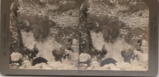 1898 STEREO VINTAGE PRINT PHOTOGRAPH - JERUSSALEM