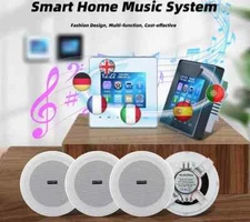 Mini Wall Amplifier Bluetooth Smart Sound System Theater Stereo Ceiling Speaker