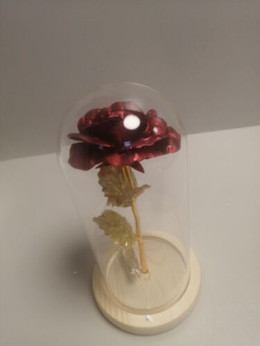 TYXSHIYE 2m/6.6ft 20 LED Lichterkette Warmweiß Künstliche Rose im Glas - Bild 1 von 3