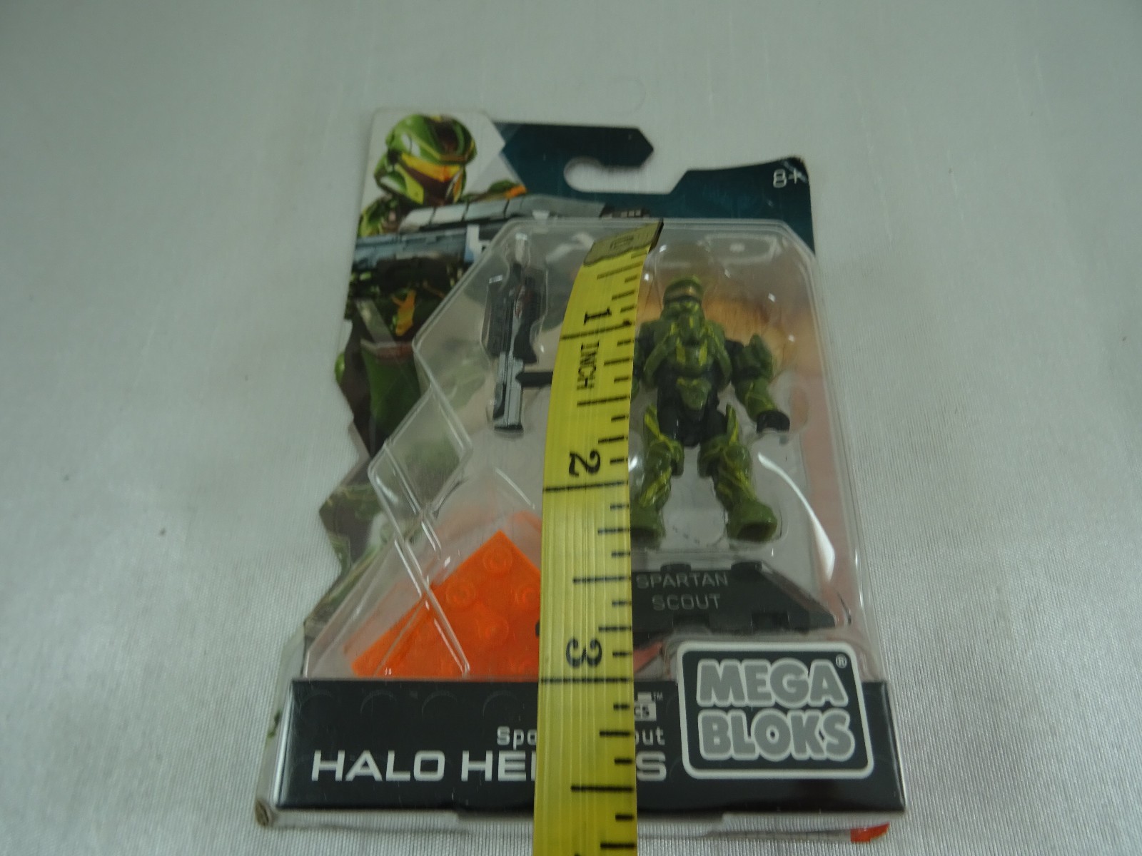 Foto 10 di 10