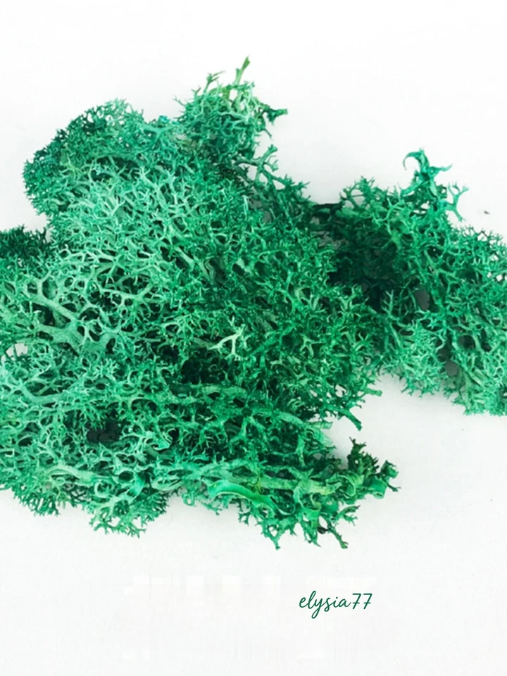 Bushes Trees HO/OO Scale Miniatures Grass Clusters Plants War Game Scene - image 2 of 4