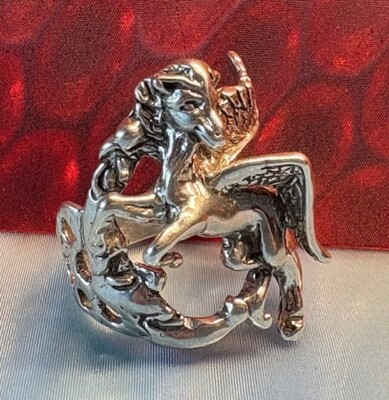 Pegasus Flew Over the Moon 925 Ring Size 9.5 Collecter Original by JKL 327