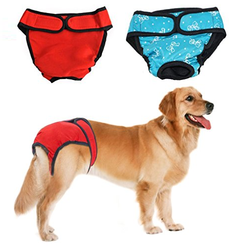 reusable puppy diapers