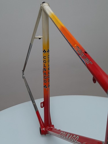 colnago master team Malvor-Colnago - Bild 15 von 24