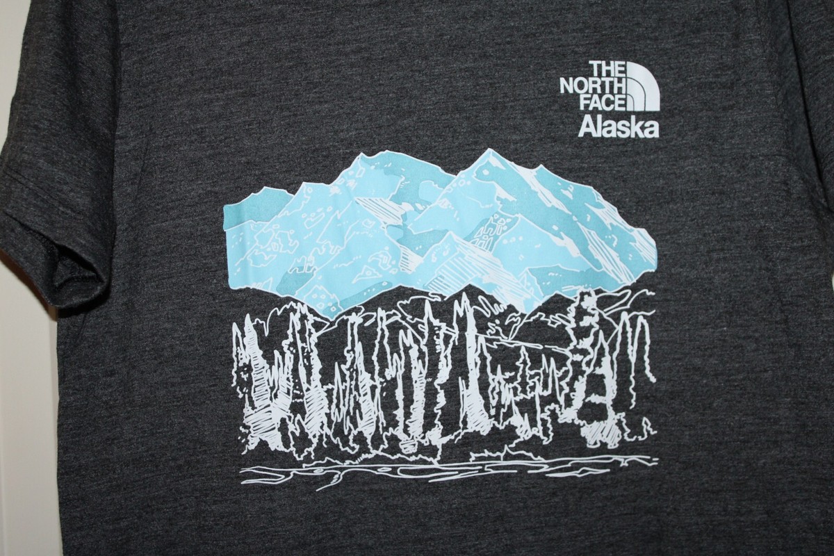 ★THE NORTH FACE★ICE FLEX S/S R/TEE★ NWT The North Face Alaska City Landmark Women's Large Black