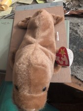 Ty Beanie Babies Paul The Walrus 1999
