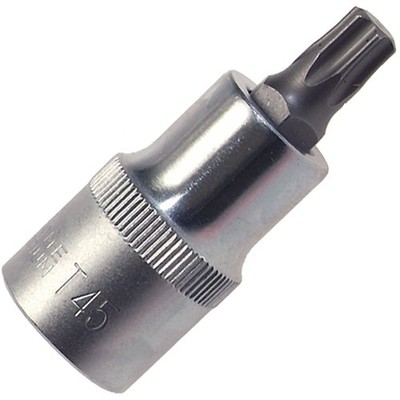 T60 - Steckschlüssel-Einsatz / Schraubendreher-Einsatz TORX T-Profil CrV-Stahl