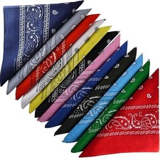 12 Pack Assorted Colors Cotton Paisley Bandanas for Men  Women