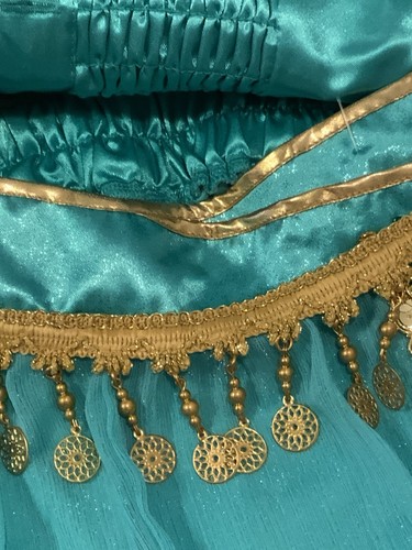 Disney Parks Deluxe Princess Jasmine Alladin Costume Outfit Girls 7-8 - Picture 12 of 22