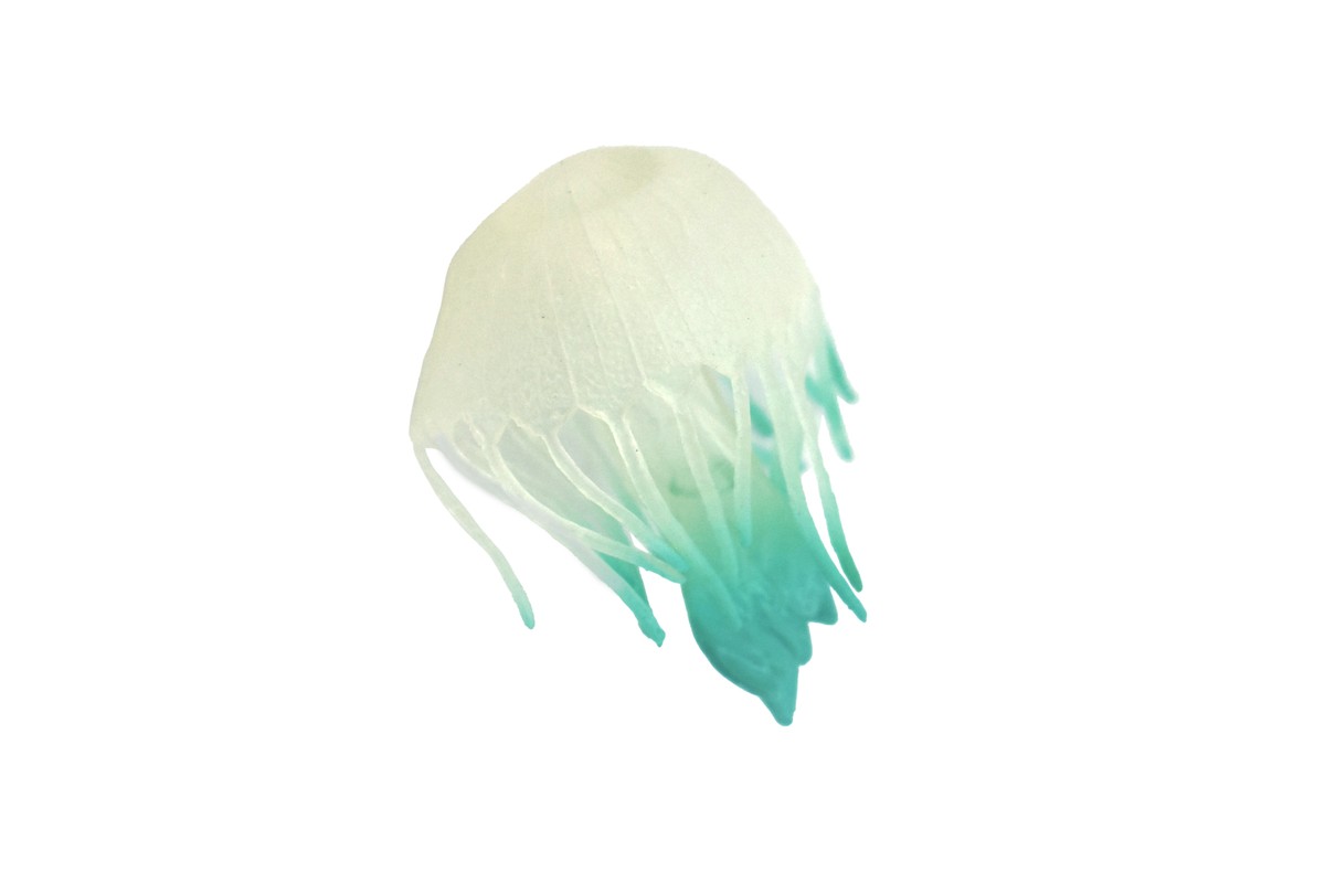 19-20 moss JELLYFISH　156cm Amazon.com: Zerodeko Plastic Jellyfish Toys, Realistic Ocean