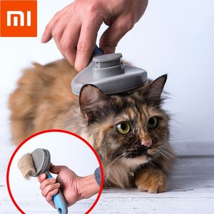 cat hair grooming tools
