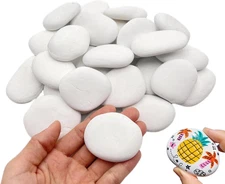 30PCS Hand-Picked Smooth White Painting Rocks for Crafts and Decoration
