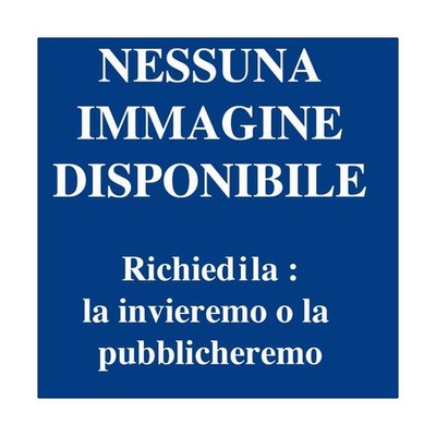 MILANO Stefano - Analisi storico - urbanistica del borgo murato di Filetto.