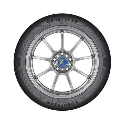 Goodyear EfficientGrip Performance 2 205/55 R16 91V Sommerreifen