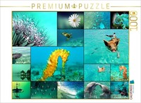 Calvendo Puzzle Summertime | 1000 Pieces, Finished Size 25.2 × 18.9 In (64 × 48