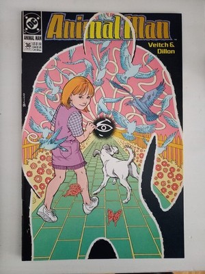 Animal Man 36 - DC Comics - 1991 - US Comic - Brian Bolland Cover